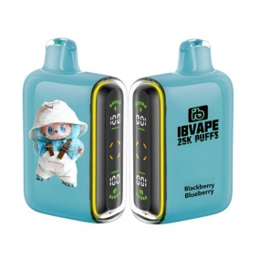 Jednorázová E-cigareta 25 000 Puffs - Ostružina & Borůvka | Lesní ovocná směs